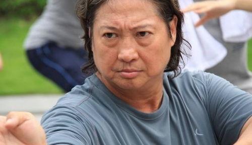 功夫 演员,演员风采与武术精神