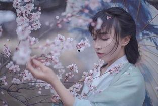 有名的网红李柒,从田园生活到网红传奇的蜕变之路