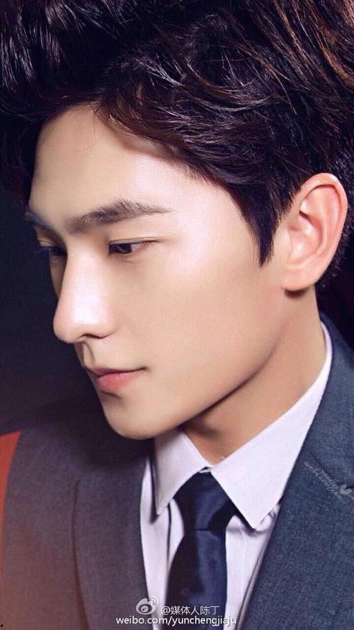 虎鼻明星,魅力四射的璀璨星途