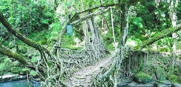 印度人种图片,探寻千年文明的肤色密码